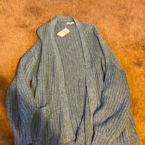 American Eagle Cardigan